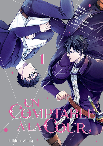 [9782382126554] Un comptable à la cour - Tome 1 (VF)