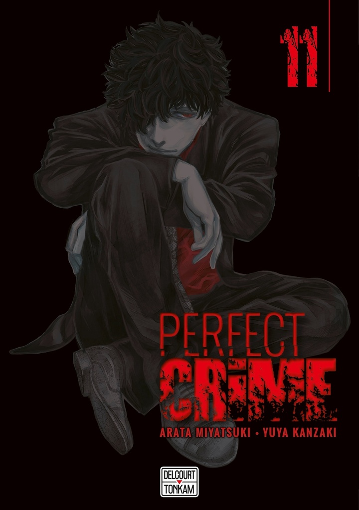 Perfect crime T11