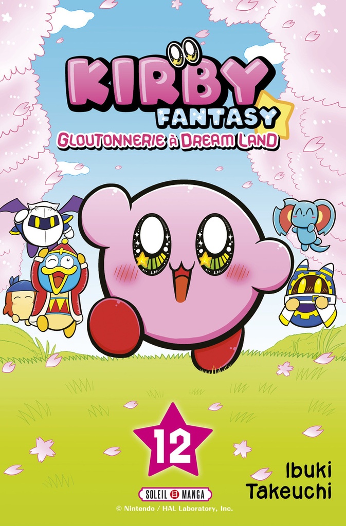 Kirby Fantasy T12