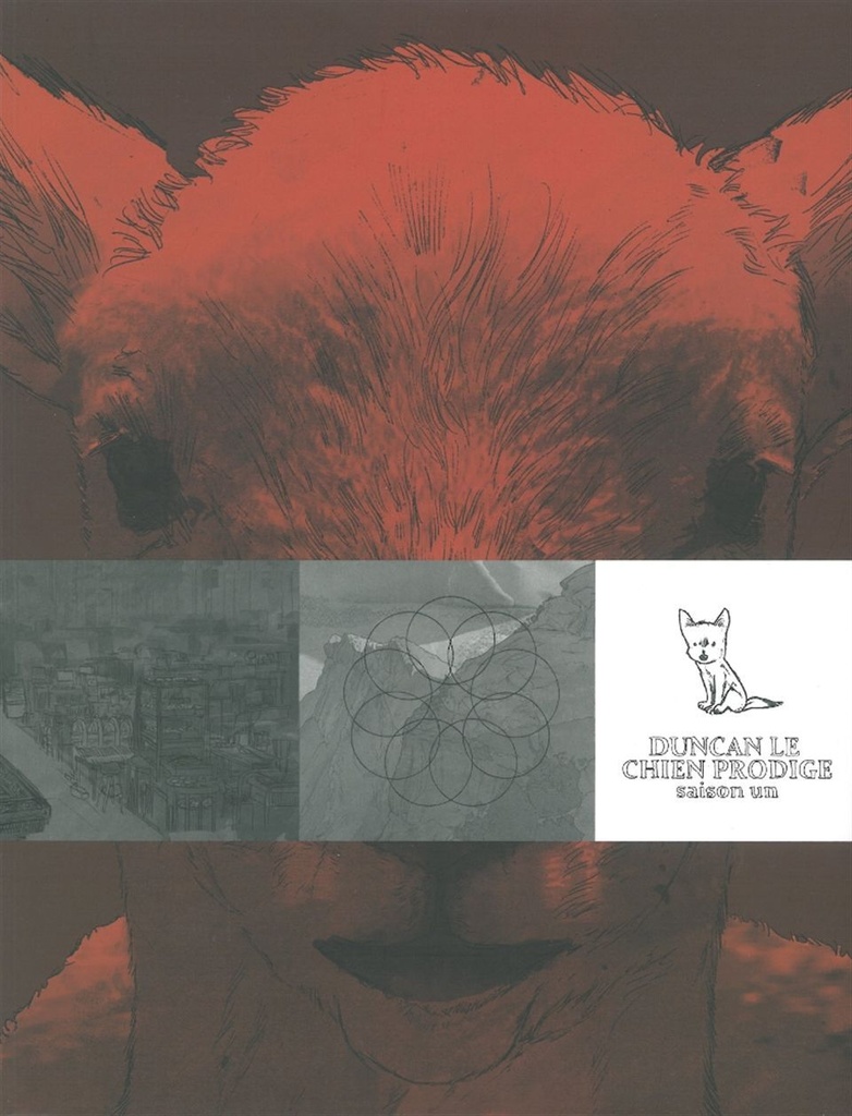 Duncan le chien prodige