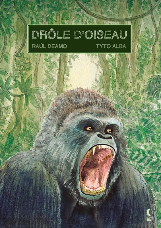 [9782491727758] Drôle d'oiseau