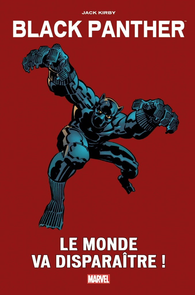 Black Panther : Le monde va disparaître !