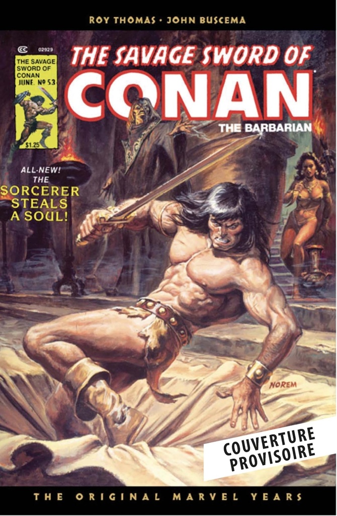 The Savage Sword of Conan : The Original Comics Omnibus T03 (Variant Panini)